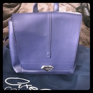 Axel Loren backpack with dust cover blue